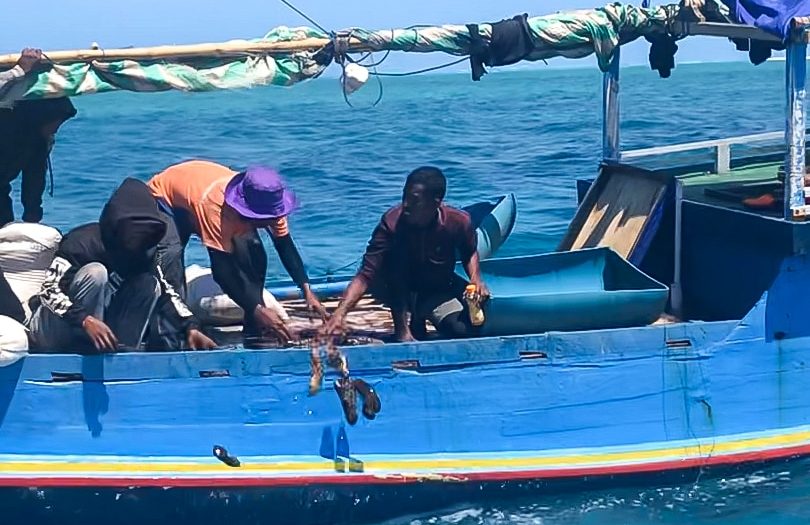 Resurgence of illegal fishing ‘unacceptable’ as fishers say fish stocks are suffering