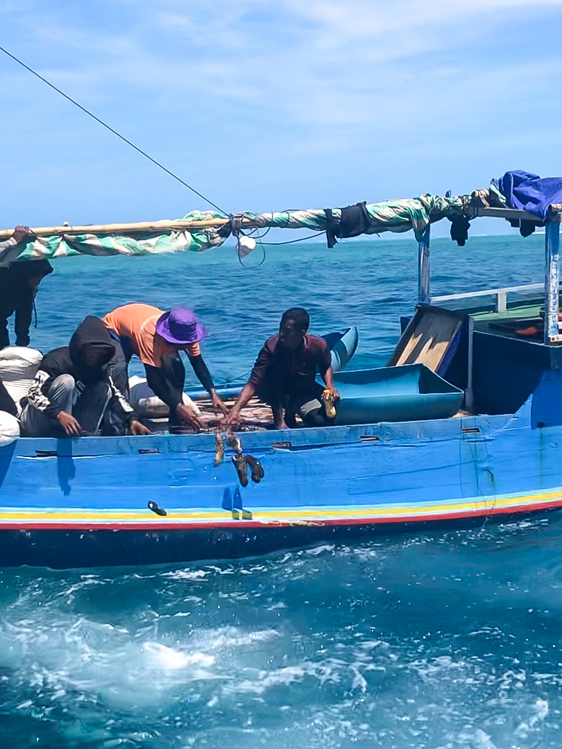 Resurgence of illegal fishing ‘unacceptable’ as fishers say fish stocks are suffering
