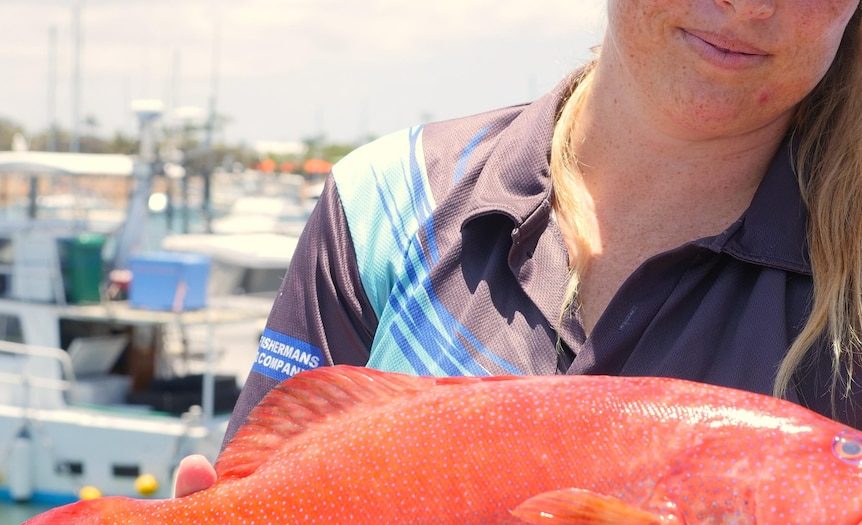 Could a new fishing ban scale back your Christmas spread?