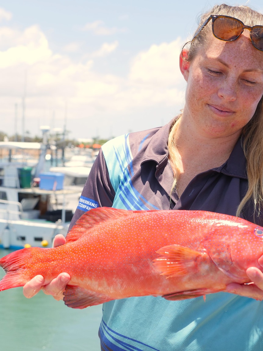 Could a new fishing ban scale back your Christmas spread?