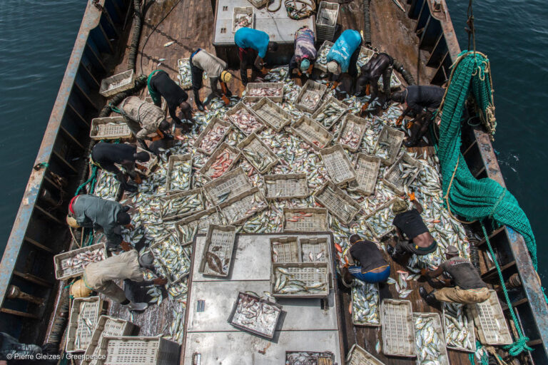 Report shines partial light on worst labor offenders in opaque fishing industry