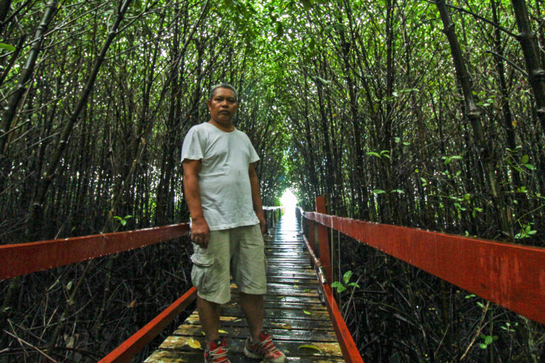 Causeway threatens mangroves that Philippine fishers planted as typhoon shield