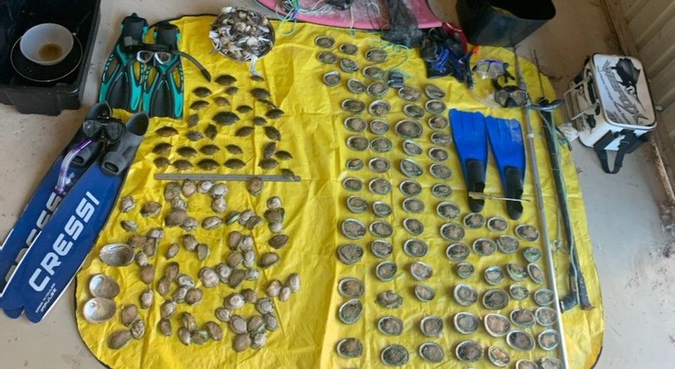 Mollusk marauders caught