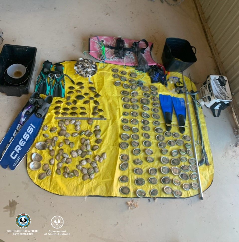 Mollusk marauders caught