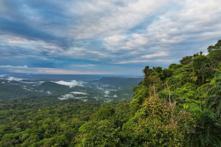 Top stories of change from Latin America in 2023