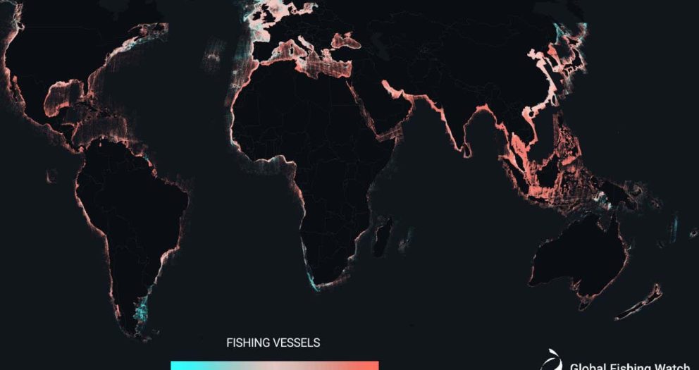Most large fishing boats go untracked as ‘dark vessels’