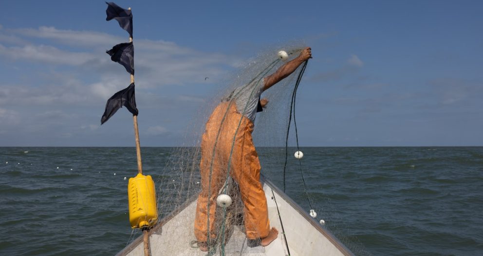 Sharks are still being killed at high rates—despite bans on finning