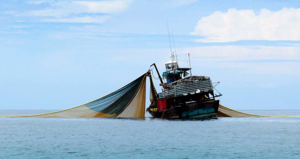 Seabed trawling found to be a major source of global CO2 emissions