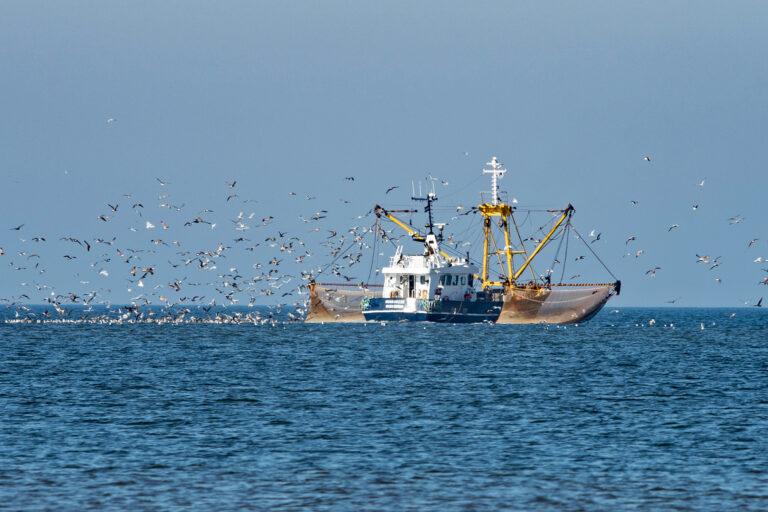 Carbon catch and release: Study finds bottom trawlers stir up seabed CO2