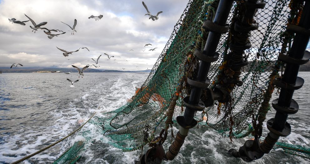 Ocean Trawling May Release Locked-Away Carbon