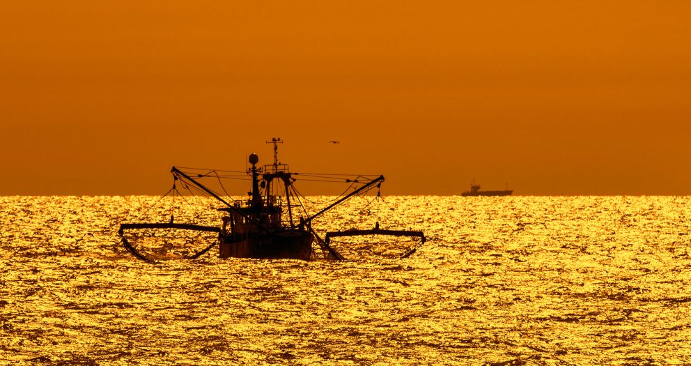 Trawling for trouble: How fishing along the seafloor significantly worsens climate change