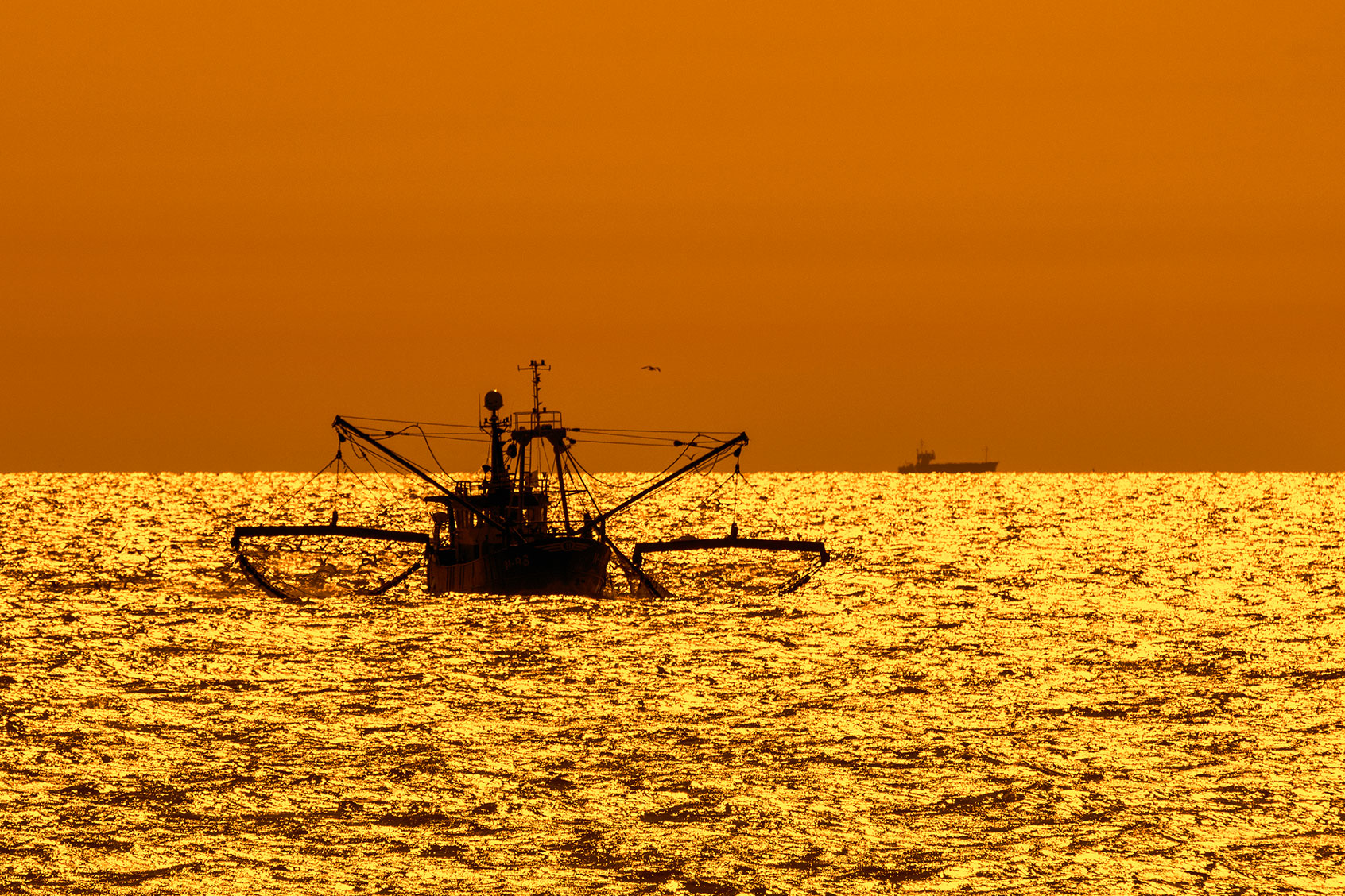 Trawling for trouble: How fishing along the seafloor significantly worsens climate change
