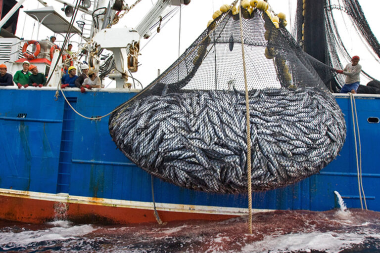 Critics push for more transparency at RFMOs that govern high seas fishing