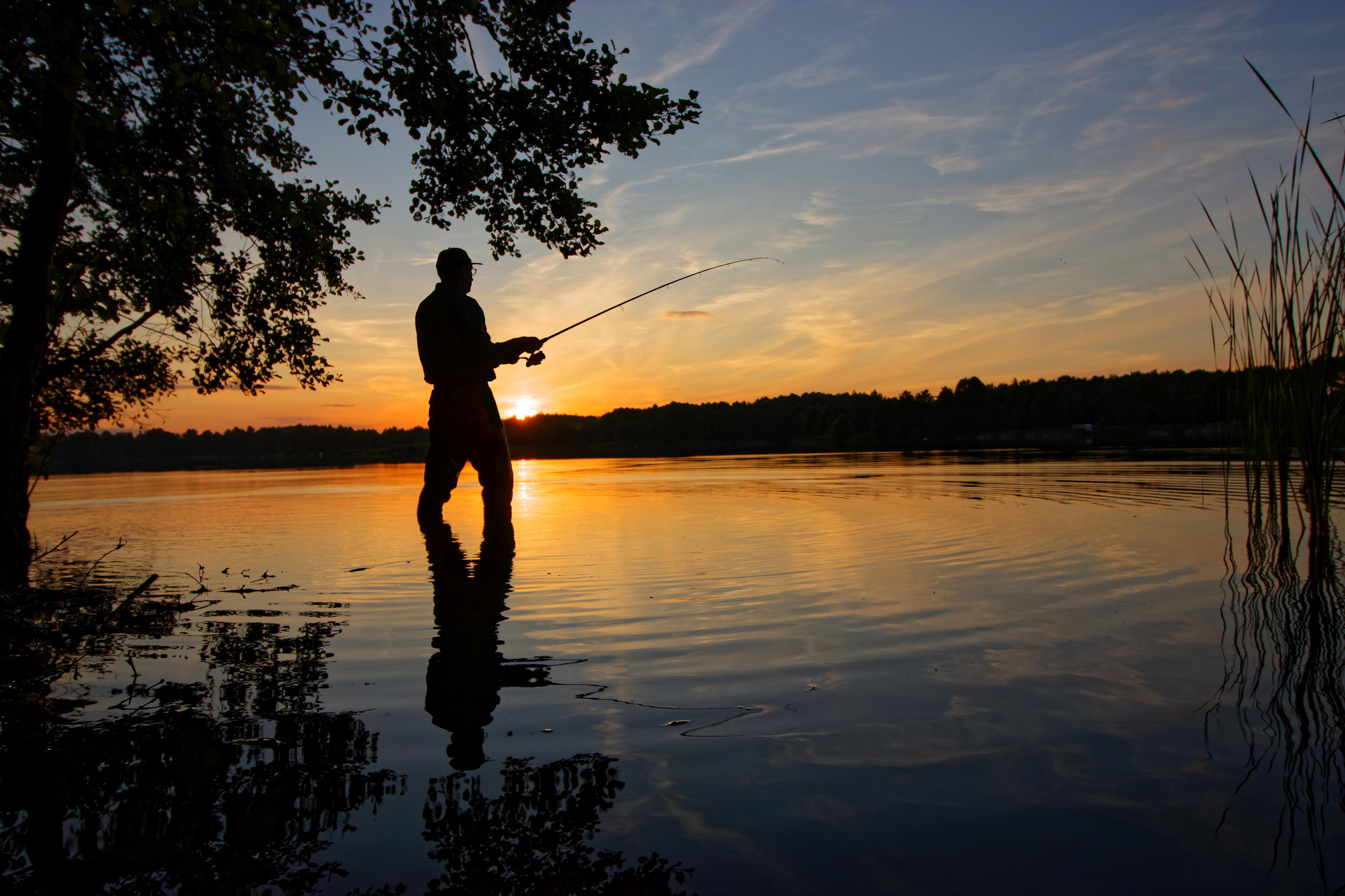 Our Human Ancestors Started Hauling Fish Out of the Water 2 Million Years Ago