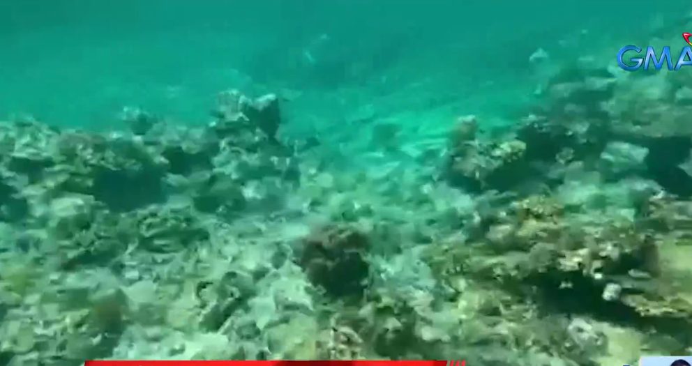 PH mulls cases vs China, Vietnam over alleged cyanide fishing