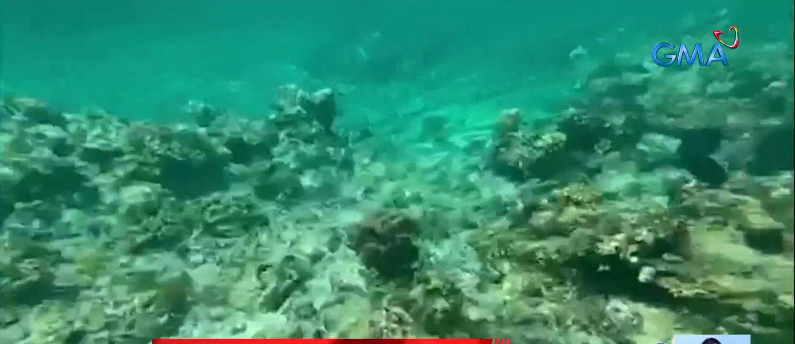 PH mulls cases vs China, Vietnam over alleged cyanide fishing